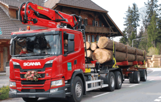 Birrerholz-Transporte-Langholzwagen