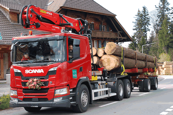 Birrerholz-Transporte-Langholzwagen